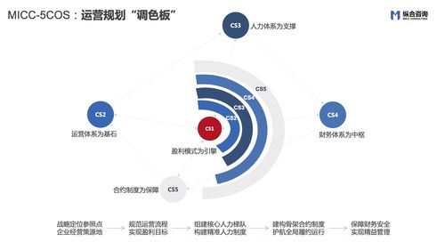 縱合咨詢（MICC） 戰(zhàn)略定位與管理咨詢領域的特色品質企業(yè)